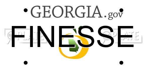 FINESSE Georgia License Plate
