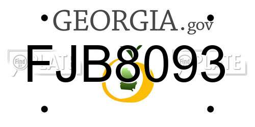 FJB8093 Georgia License Plate