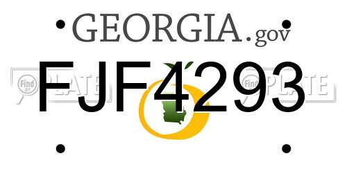 FJF4293 Georgia License Plate