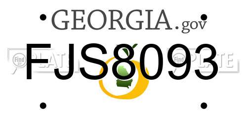 FJS8093 Georgia License Plate