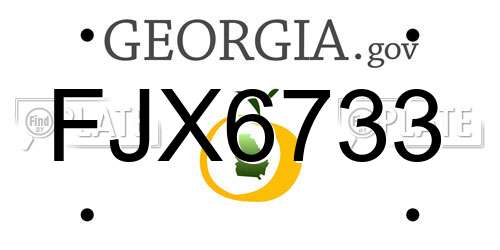 FJX6733 Georgia License Plate