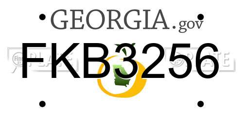 FKB3256 Georgia License Plate