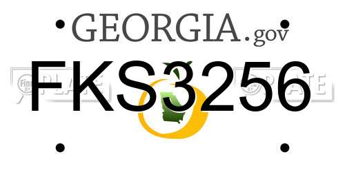 FKS3256 Georgia License Plate