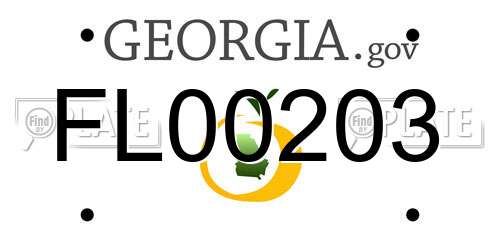 FL00203 Georgia License Plate