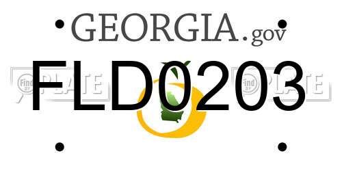 FLD0203 Georgia License Plate