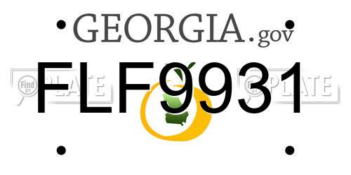 FLF9931 Georgia License Plate