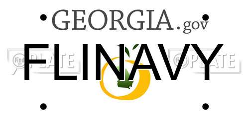 FLINAVY Georgia License Plate