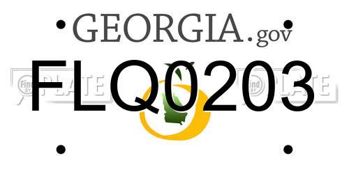 FLQ0203 Georgia License Plate