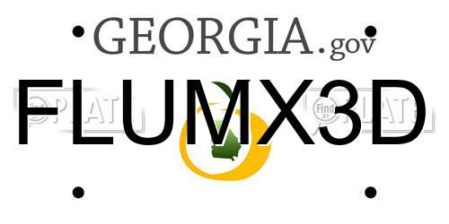 FLUMX3D Georgia License Plate