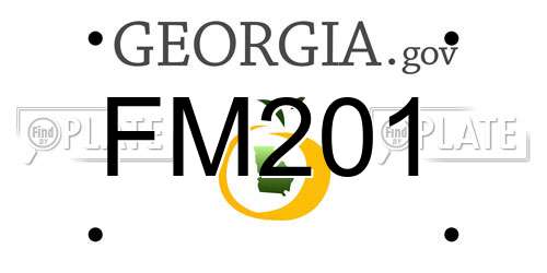 FM201 Georgia License Plate