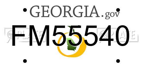 FM55540 Georgia License Plate