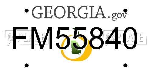 FM55840 Georgia License Plate