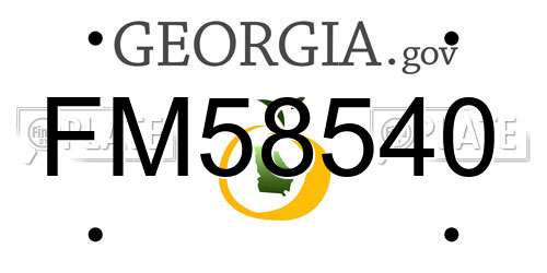 FM58540 Georgia License Plate