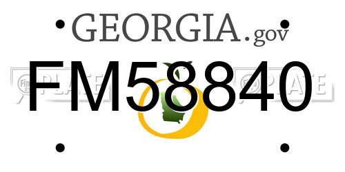 FM58840 Georgia License Plate