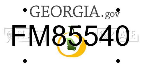 FM85540 Georgia License Plate