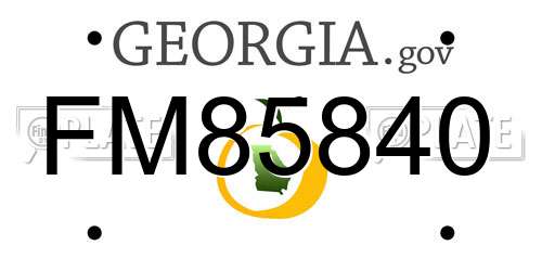 FM85840 Georgia License Plate