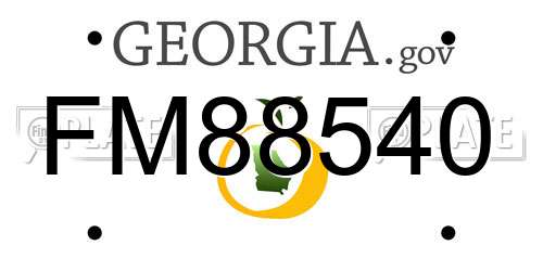 FM88540 Georgia License Plate