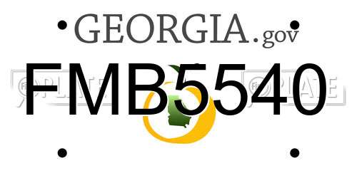 FMB5540 Georgia License Plate