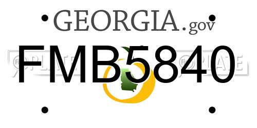 FMB5840 Georgia License Plate