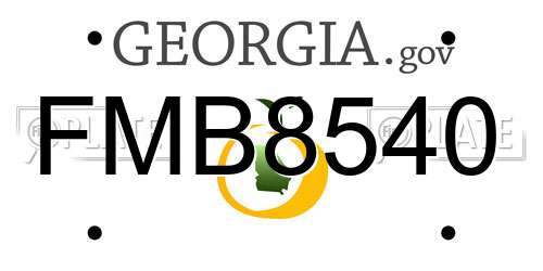 FMB8540 Georgia License Plate