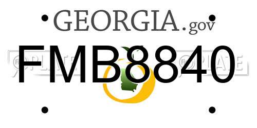 FMB8840 Georgia License Plate
