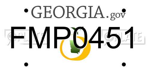 FMP0451 Georgia License Plate