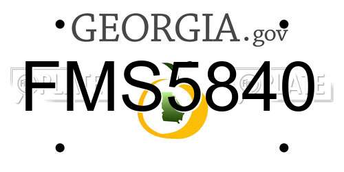 FMS5840 Georgia License Plate