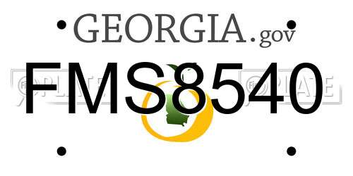FMS8540 Georgia License Plate