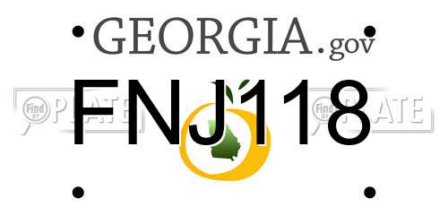 FNJ118 Georgia License Plate