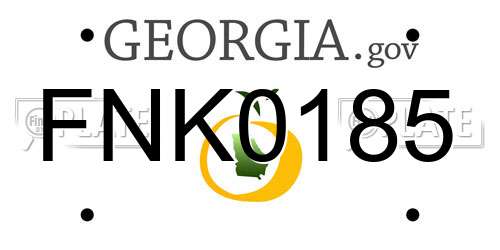 FNK0185 Georgia License Plate