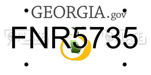 FNR5735 Georgia License Plate