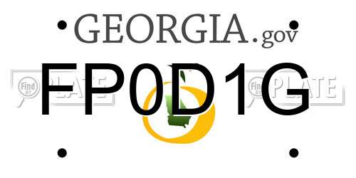 FP0D1G Georgia License Plate