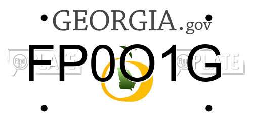 FP0O1G Georgia License Plate