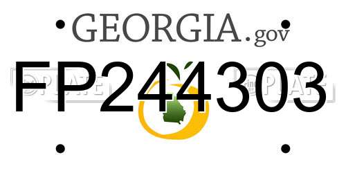 FP244303 Georgia License Plate