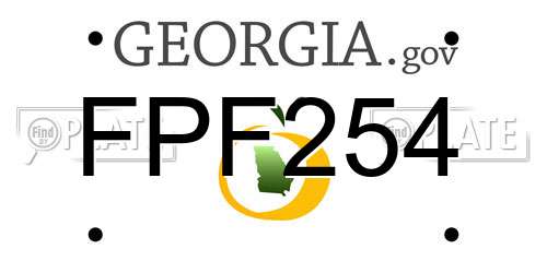 FPF254 Georgia License Plate