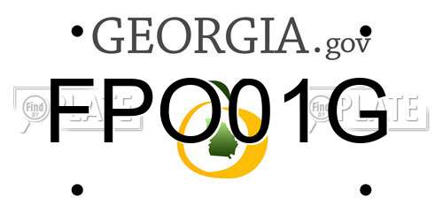 FPO01G Georgia License Plate