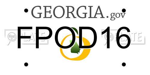 FPOD16 Georgia License Plate