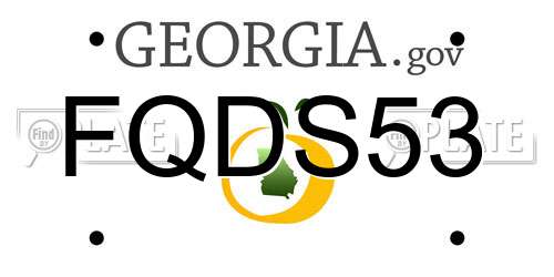 FQDS53 Georgia License Plate