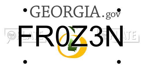 FR0Z3N Georgia License Plate