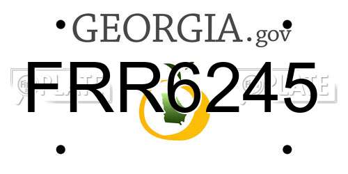 FRR6245 Georgia License Plate
