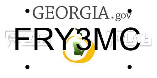 FRY3MC Georgia License Plate