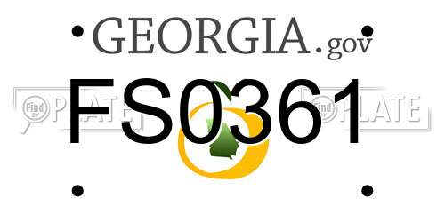 FS0361 Georgia License Plate