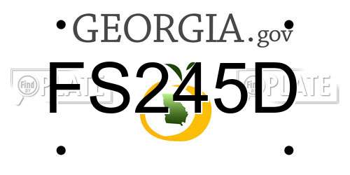 FS245D Georgia License Plate
