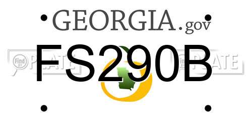 FS290B Georgia License Plate