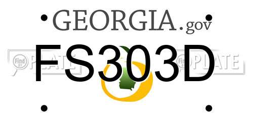 FS303D Georgia License Plate