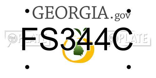 FS344C Georgia License Plate