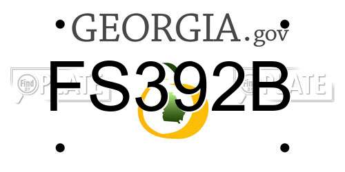 FS392B Georgia License Plate
