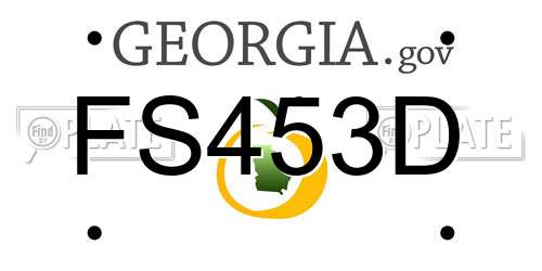 FS453D Georgia License Plate