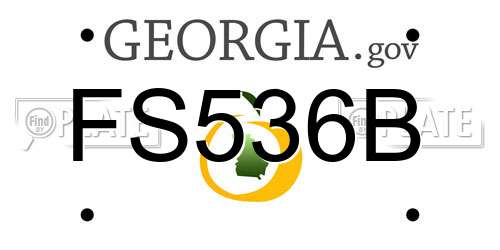 FS536B Georgia License Plate