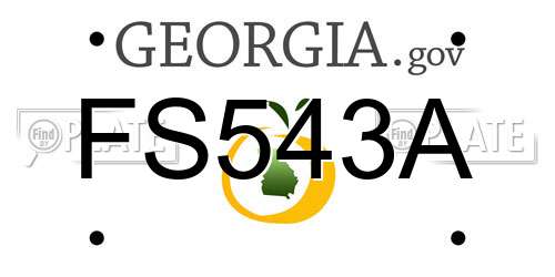 FS543A Georgia License Plate